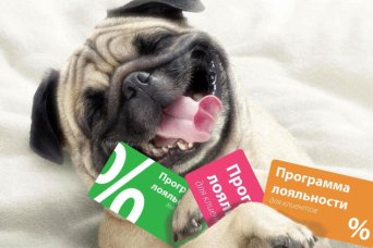 Описание изображения